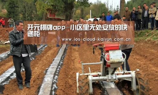 开元棋牌app-小区里无处安放的快递柜(图1) 开元棋牌app-小区里无处安放的快递柜(图1)
